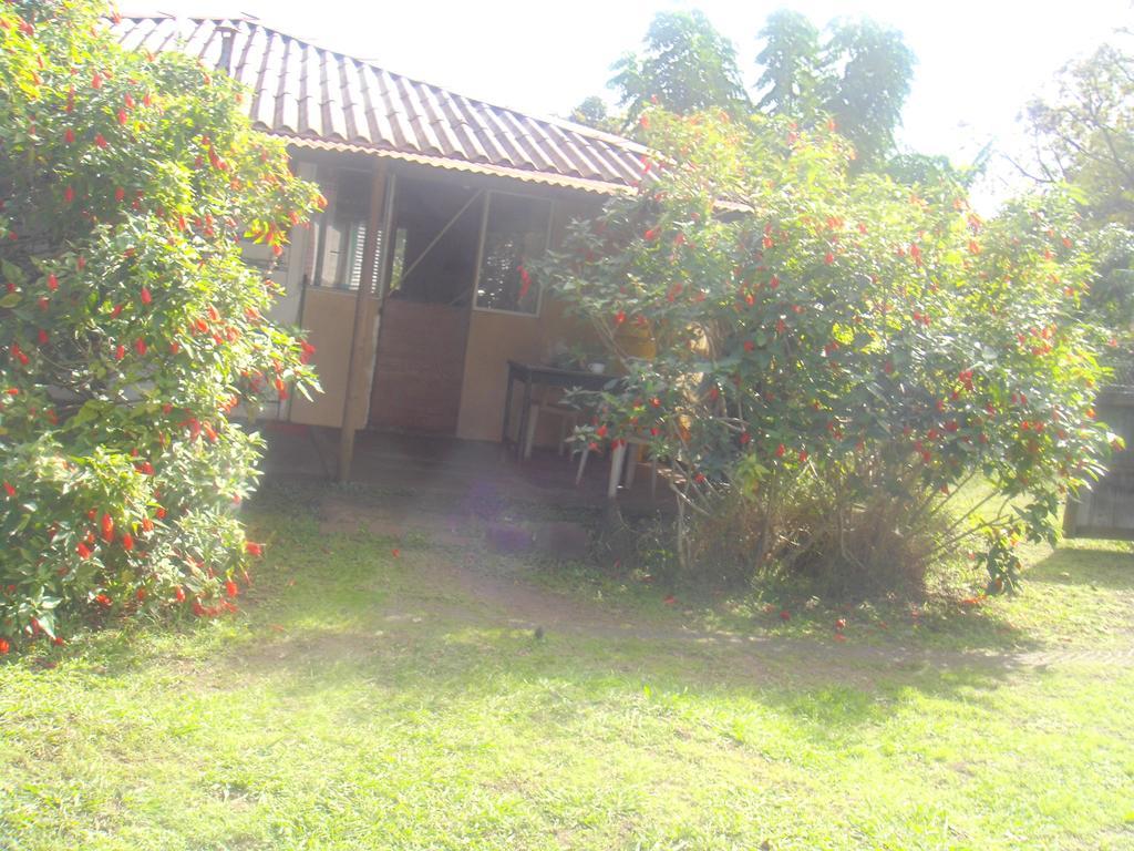 Cabanas Varua Hanga Roa Oda fotoğraf