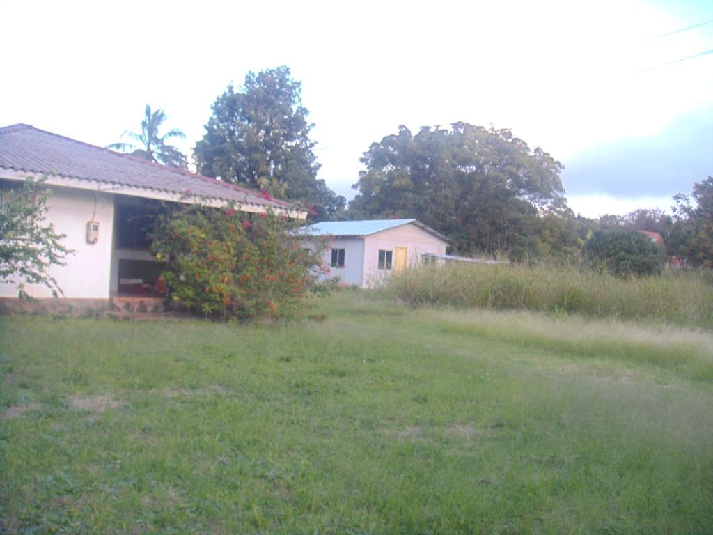 Cabanas Varua Hanga Roa Oda fotoğraf